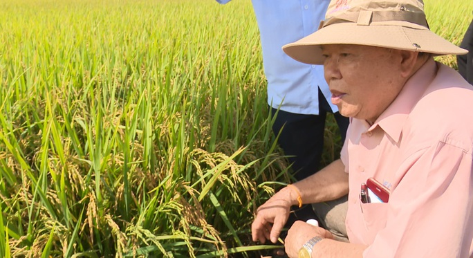 NÔNG DÂN MIỀN TÂY BẮT TAY LÀM “NGƯỜI TỬ TẾ” (*): Gầy dựng thương hiệu cho nông sản - Ảnh 1. NÔNG DÂN MIỀN TÂY BẮT TAY LÀM “NGƯỜI TỬ TẾ” (*): Gầy dựng thương hiệu cho nông sản - Ảnh 1.