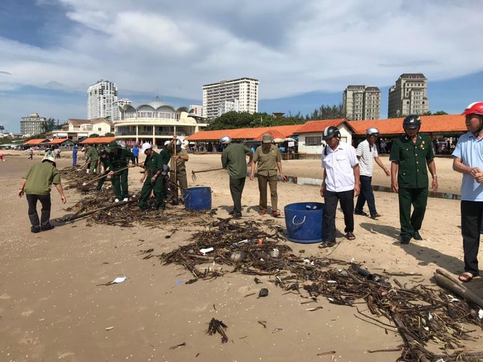Cận cảnh 800 người  giải cứu bãi biển Vũng Tàu - Ảnh 1.