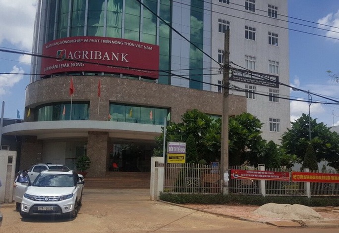 Agribank Đắk Nông đưa đoàn ra miền Trung... giao lưu thể thao - Ảnh 1. Agribank Đắk Nông đưa đoàn ra miền Trung... giao lưu thể thao - Ảnh 1.