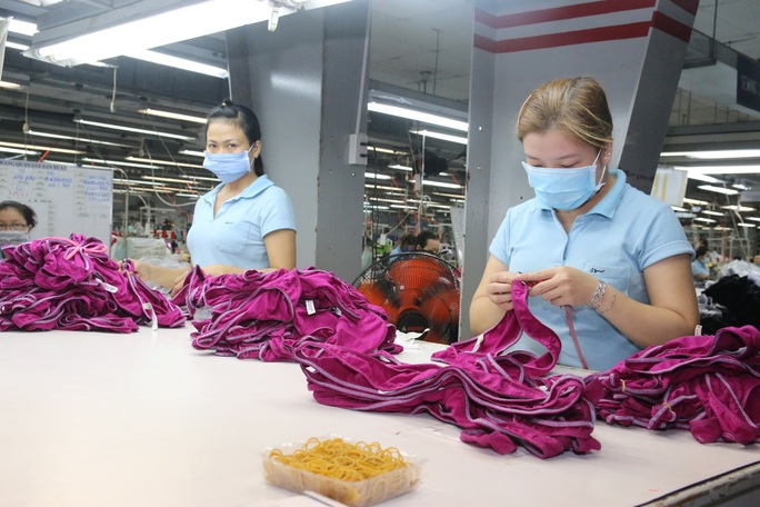 Mất việc do dịch Covid-19, người lao động được hưởng quyền lợi gì? - Ảnh 3. Mất việc do dịch Covid-19, người lao động được hưởng quyền lợi gì? - Ảnh 3.