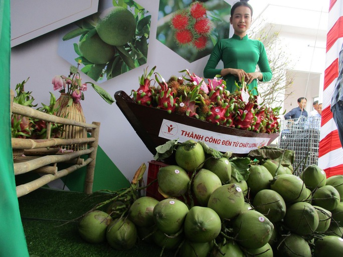 Thanh long, bưởi, dừa rộng cửa sang EU - Ảnh 1.