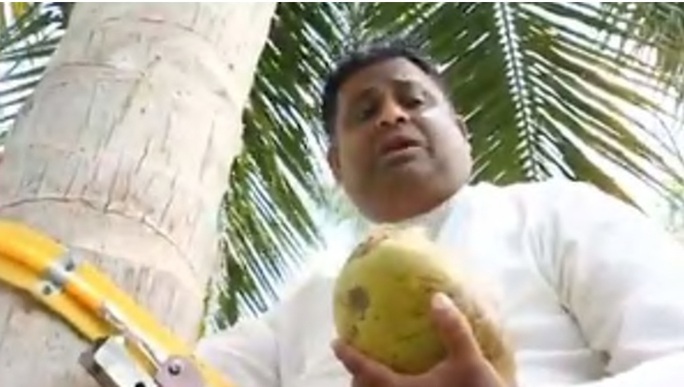 Bộ trưởng Sri Lanka leo cây để phát biểu về tình trạng khan hiếm dừa - Ảnh 1.