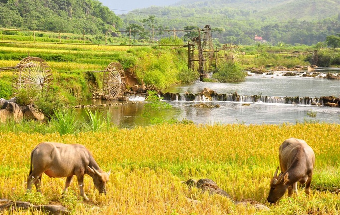 Mê mẩn với Pù Luông của xứ Thanh - Ảnh 12.