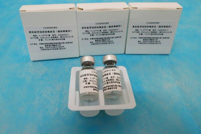 Kỳ vọng về kháng thể chống Covid-19 - Ảnh 1.