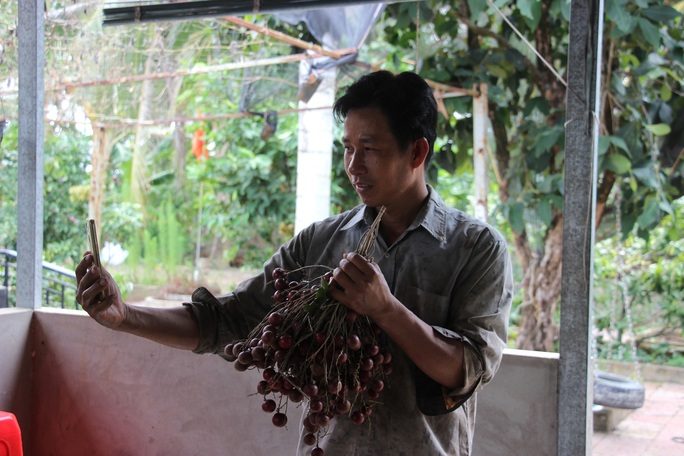 CLIP: Cựu Bí thư Tỉnh đoàn bỏ túi 500 triệu đồng nhờ khu vườn trồng đủ thứ - Ảnh 8.