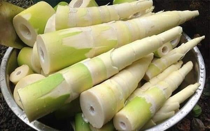 Mùa măng le - Ảnh 3. Mùa măng le - Ảnh 3.