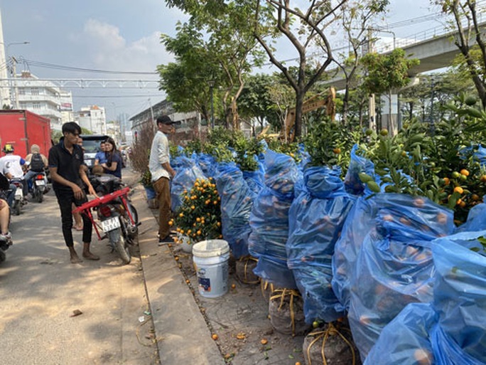 Hoa kiểng cao cấp đắt hàng - Ảnh 1.