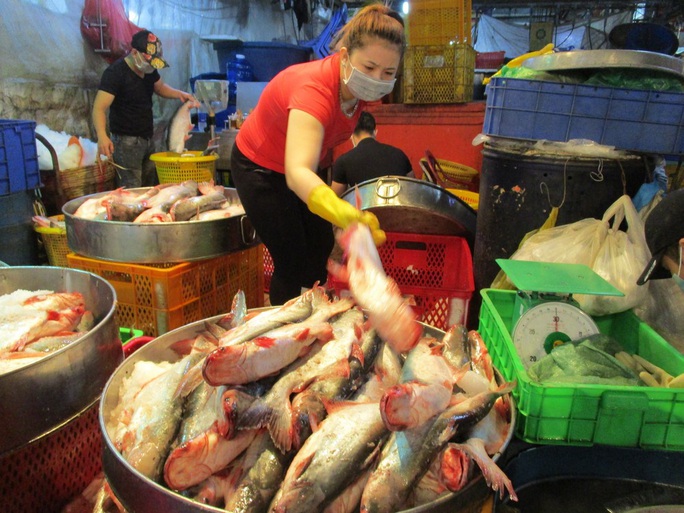 Việt Nam quan ngại vì Brazil ra quy định “làm khó” cá tra, tôm - Ảnh 1.
