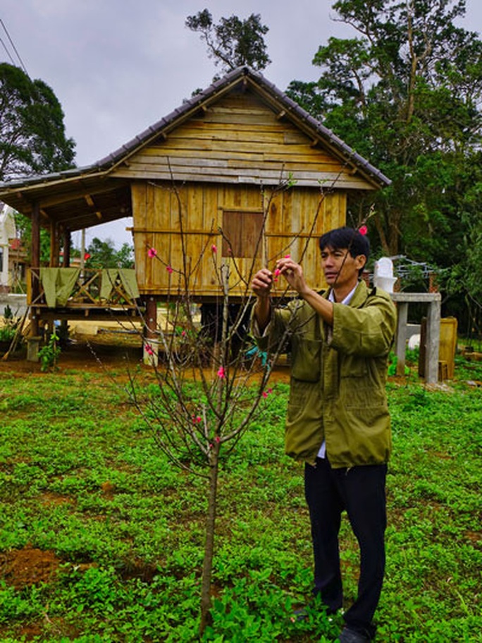 Lên Vĩnh Sơn thăm thành đá, ngắm hoa đào - Ảnh 2.