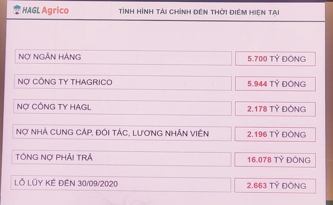 Bầu Đức: Tôi năn nỉ anh Trần Bá Dương thâu tóm công ty tôi - Ảnh 1.