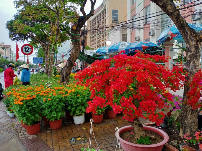 Cần Thơ bàn giải pháp hỗ trợ người bán hoa kiểng - Ảnh 1.