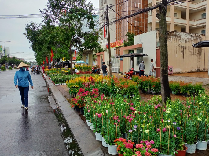 Cần Thơ bàn giải pháp hỗ trợ người bán hoa kiểng - Ảnh 2.
