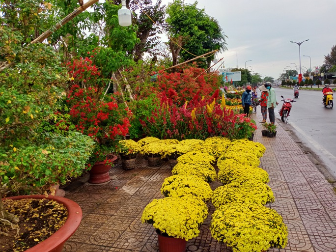Cần Thơ bàn giải pháp hỗ trợ người bán hoa kiểng - Ảnh 4.
