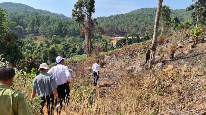 Lâm Đồng tái xuất tình trạng phá rừng phòng hộ, lấn chiếm đất - Ảnh 4.