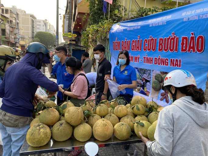 Hỗ trợ nông dân tiêu thụ nông sản - Ảnh 1.