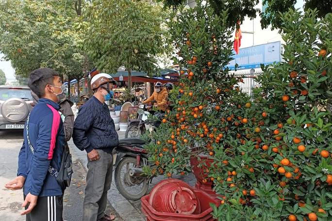 Đào, quất đồng loạt đại hạ giá, người bán vẫn méo mặt vì người mua thưa thớt - Ảnh 6.