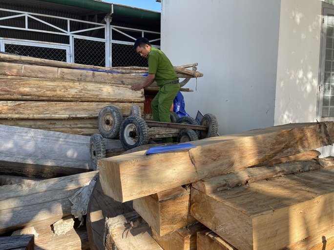 Lại phát hiện vụ phá rừng lớn, thu gần 40m3 gỗ ở Đắk Lắk - Ảnh 1.