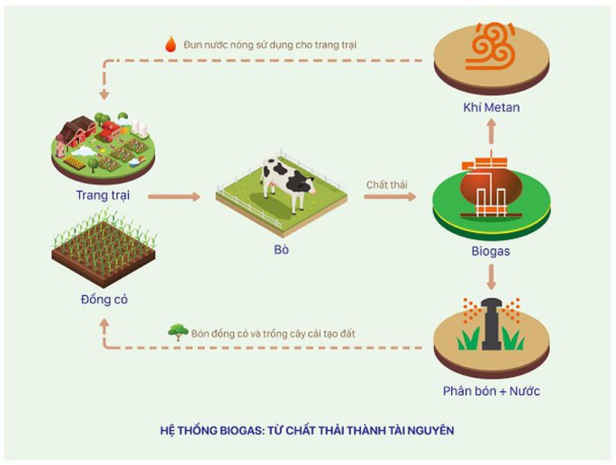 Năng lượng mặt trời được triển khai trên toàn bộ hệ thống trang trại Vinamilk - Ảnh 4.