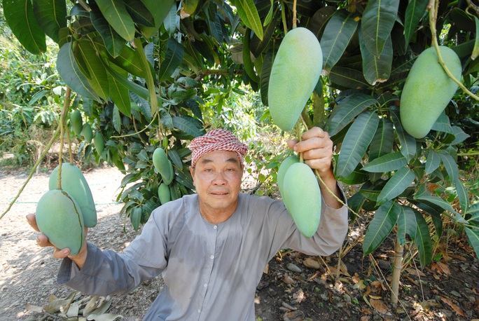 PHÁT TRIỂN ĐBSCL THEO PHƯƠNG CHÂM 8G (*): Gắn chặt hợp tác công - tư - Ảnh 1.