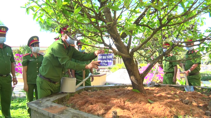 CLIP: Hưởng ứng lời kêu gọi của Thủ tướng, trại giam ở Cà Mau trồng hơn 10.000 cây xanh - Ảnh 5.