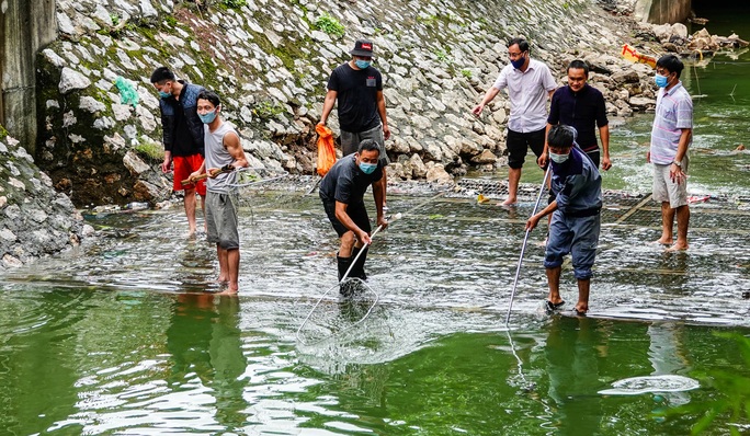 CLIP: Sông Tô Lịch bất ngờ xanh, nhiều người dân vui mừng bắt hàng tạ cá - Ảnh 6.