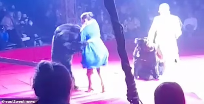 Nghệ sĩ xiếc mang thai bị gấu tấn công trên sân khấu - Ảnh 1.