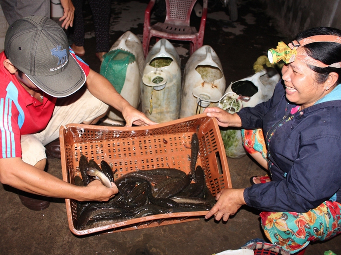 Chủ động cho mùa khô - Ảnh 2. Chủ động cho mùa khô - Ảnh 2.
