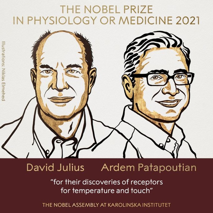 Lộ diện chủ nhân Nobel Y học 2021 - Ảnh 2.