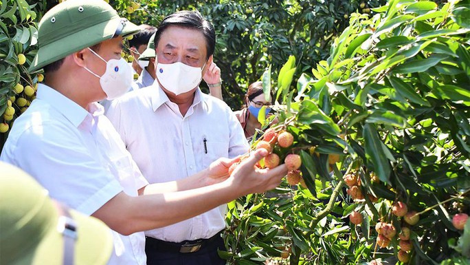 Bộ trưởng Lê Minh Hoan: Ngành nông nghiệp tiếp tục là trụ đỡ của nền kinh tế - Ảnh 2.