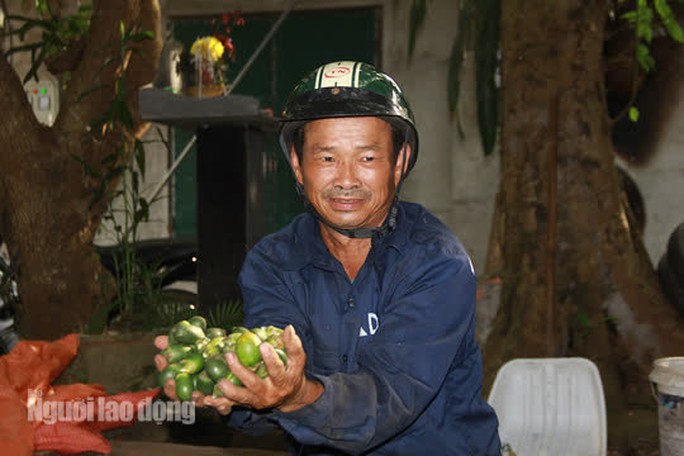 Thu mua cau bán cho Trung Quốc, kiếm hàng trăm triệu đồng mỗi vụ - Ảnh 4.