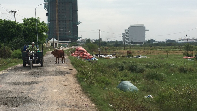 TP HCM: Giá đất Bình Chánh tăng chóng mặt vì thông tin huyện lên quận - Ảnh 1.