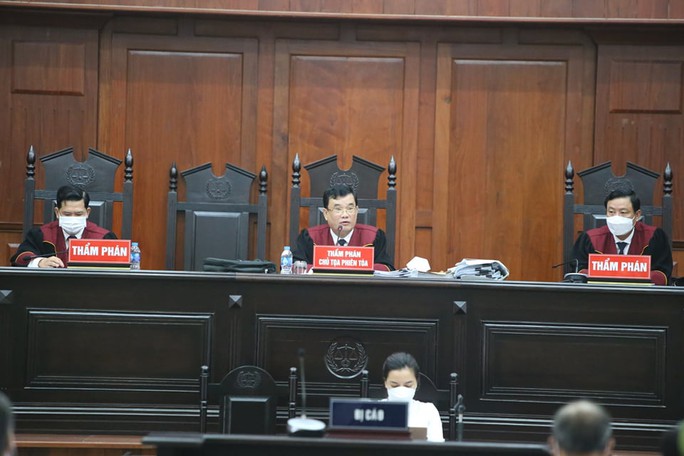 Nữ đại gia Lê Thị Thanh Thúy kháng cáo gì trong vụ án ông Nguyễn Thành Tài? - Ảnh 3.
