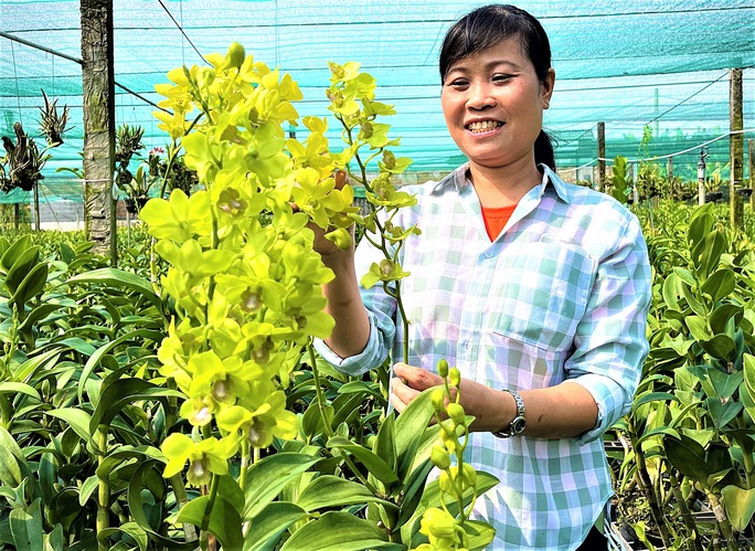 Nữ tỉ phú lan dendrobium - Ảnh 1.