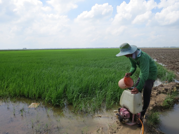 Nông dân chật vật vì giá vật tư tăng - Ảnh 1.