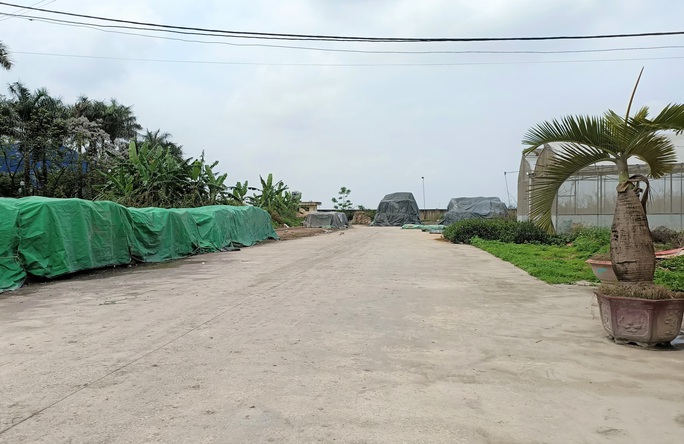 Vụ Trung tâm nông nghiệp 17 tỉ đồng để làm... cảnh ở Thanh Hóa: Trần tình của đơn vị quản lý - Ảnh 2.