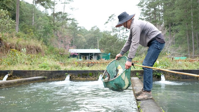 Mối lo từ cá tầm Trung Quốc - Ảnh 1.