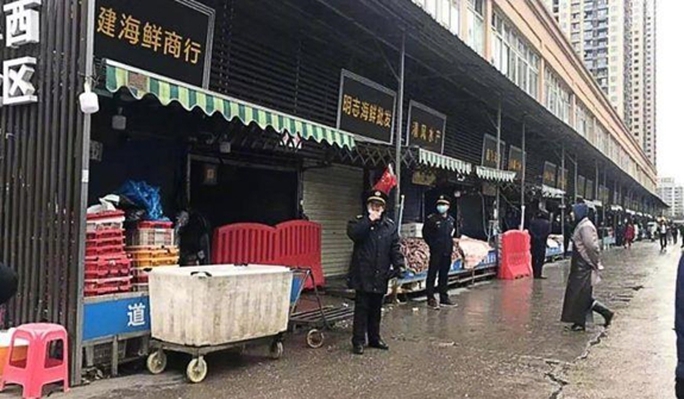 Đề xuất đáng chú ý của WHO để phòng tránh đại dịch - Ảnh 1. Đề xuất đáng chú ý của WHO để phòng tránh đại dịch - Ảnh 1.