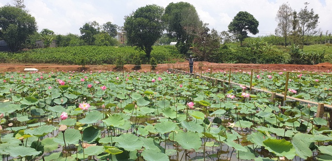 Họp kiểm điểm lãnh đạo TP Bảo Lộc vì bát nháo biệt thự khủng, phân lô bán nền... - Ảnh 9.