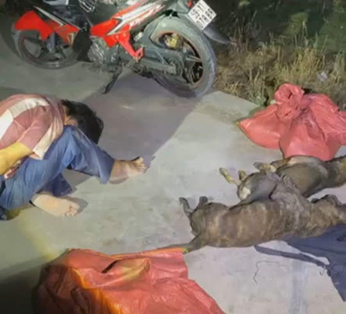 Đồng Nai: Người dân truy đuổi như phim, bắt nóng cẩu tặc cùng 6 con chó - Ảnh 1. Đồng Nai: Người dân truy đuổi như phim, bắt nóng cẩu tặc cùng 6 con chó - Ảnh 1.