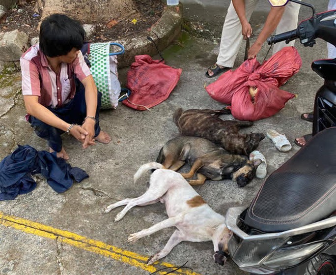 Đồng Nai: Người dân truy đuổi như phim, bắt nóng cẩu tặc cùng 6 con chó - Ảnh 3. Đồng Nai: Người dân truy đuổi như phim, bắt nóng cẩu tặc cùng 6 con chó - Ảnh 3.