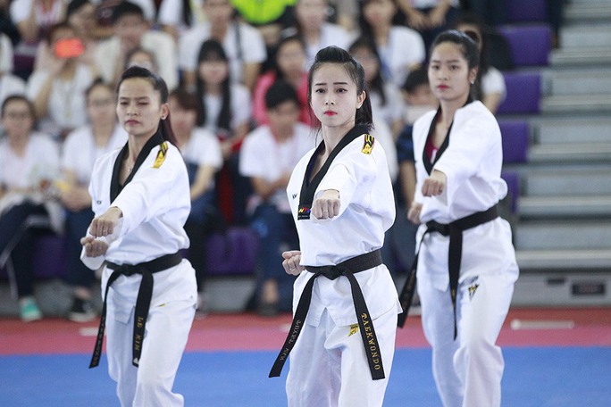 dau taekwondo viet nam