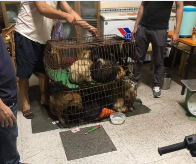 Vụ bắt nhóm “cẩu tặc”: Bị hại trong vụ án giết người với thương tích 84% vẫn đi trộm chó - Ảnh 2.