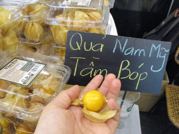 Choáng với giá bán quả tầm bóp - Ảnh 5.