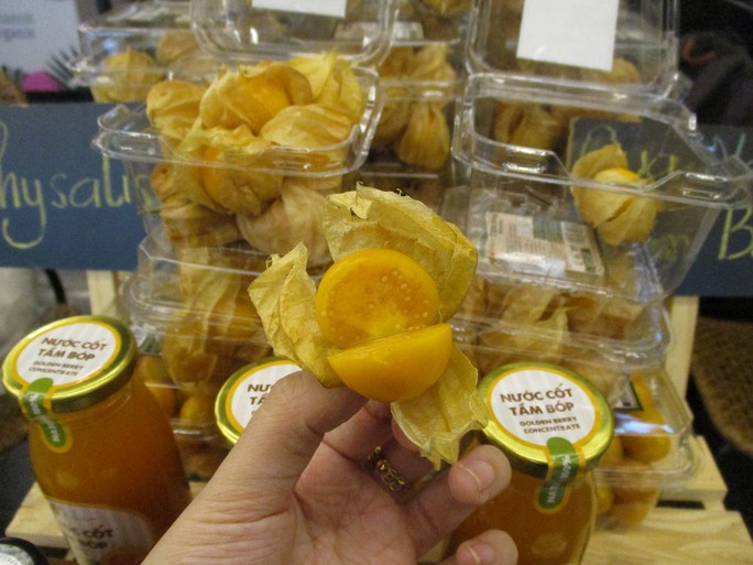 Choáng với giá bán quả tầm bóp - Ảnh 4.