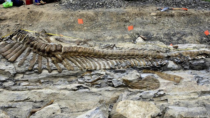 Phát hiện loài khủng long... biết nói sống ở Mexico 72 triệu năm trước - Ảnh 2.