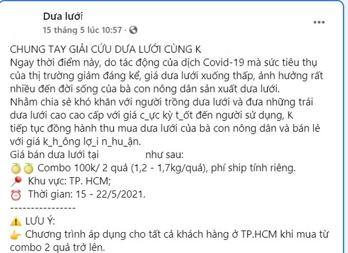 Giải cứu dưa lưới vì nhà hàng, khách sạn, karaoke giảm mua - Ảnh 1.