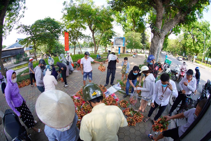 Đội nắng, xếp hàng mua vải ủng hộ nông dân Bắc Giang - Ảnh 4.