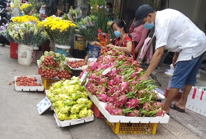 Vì sao thanh long vàng độc - lạ nhưng vẫn rớt giá thảm hại? - Ảnh 1.