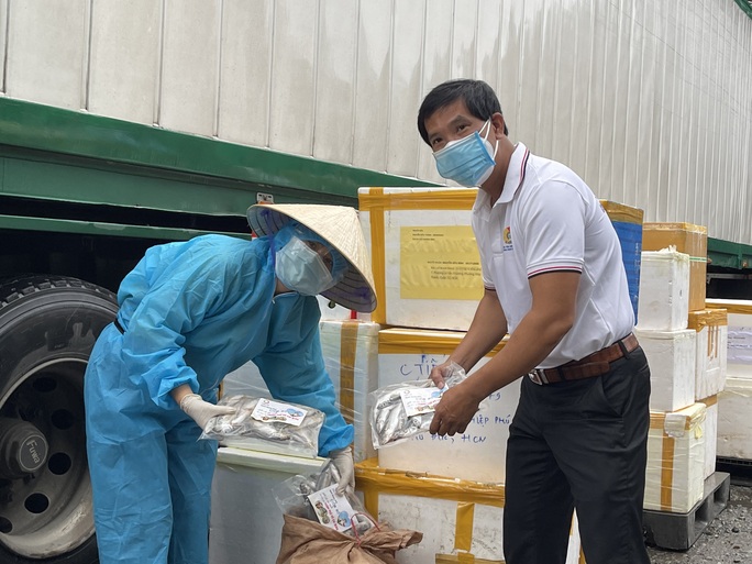 Quảng Bình góp 27,5 tấn tôm cá cùng công nhân TP HCM chống dịch - Ảnh 1.