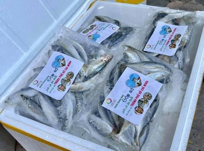 Quảng Bình góp 27,5 tấn tôm cá cùng công nhân TP HCM chống dịch - Ảnh 4.
